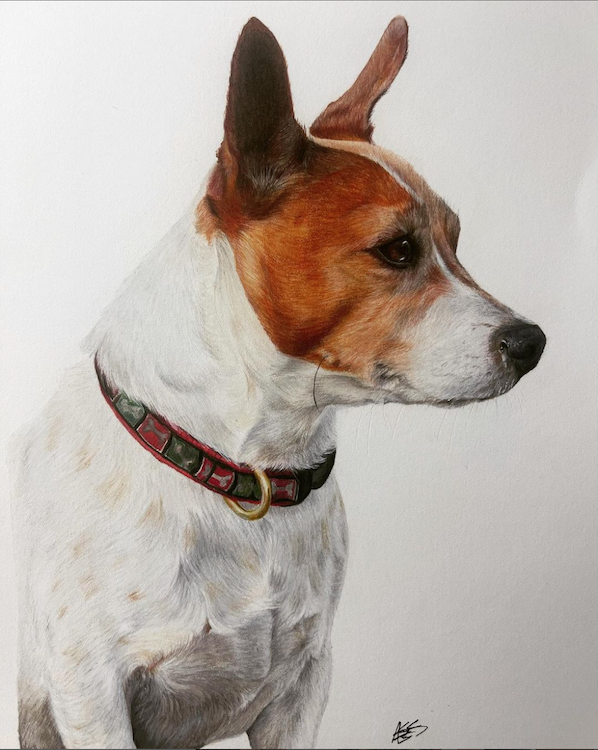 Pup Portrait from Eleuthera Studio